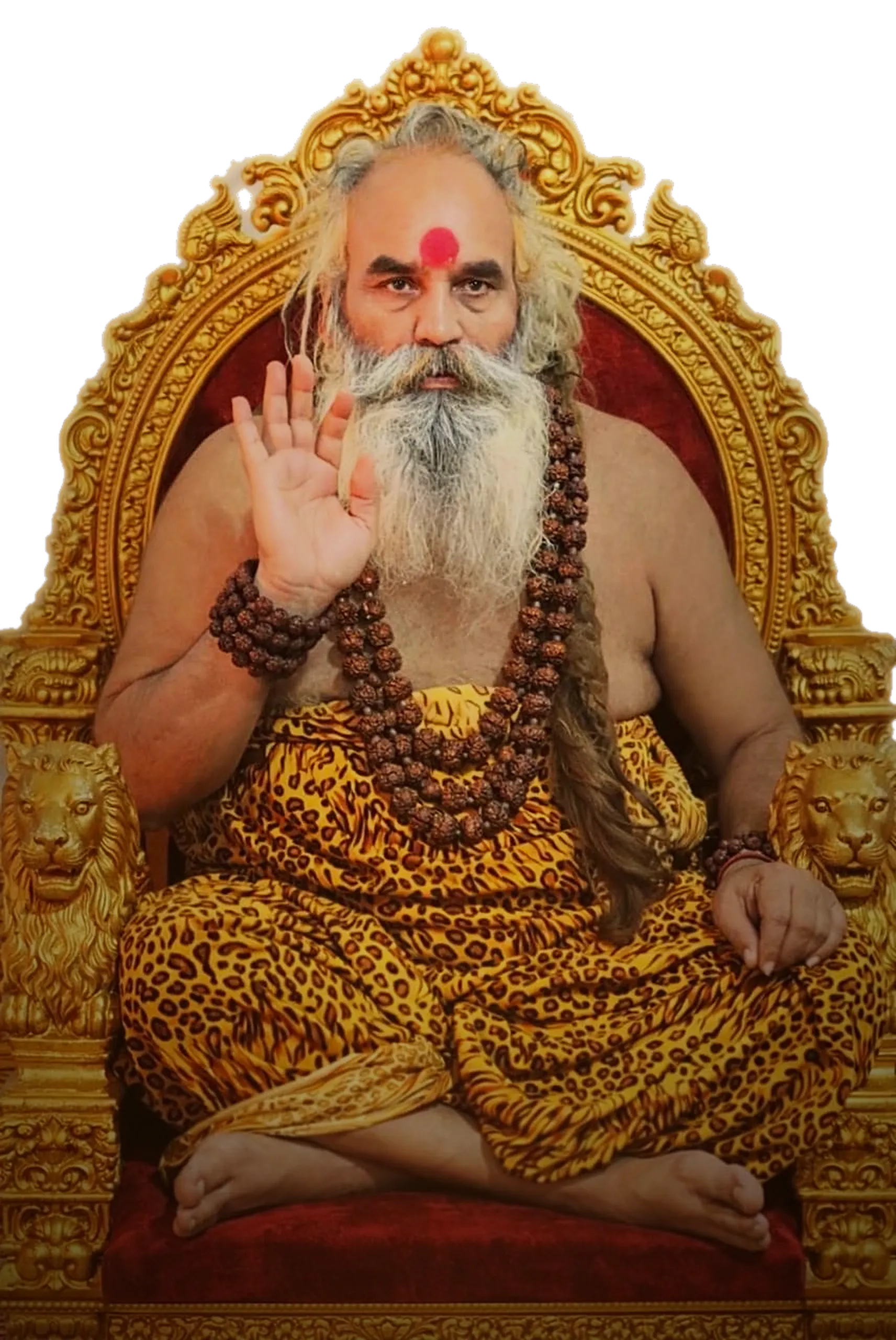 स्वर्ण सिंहासन पर विराजमान श्री श्री 1008 हरि ॐ जी महाराज, आशीर्वाद मुद्रा में उठा दाहिना हाथ, रुद्राक्ष मालाएँ और कुमकुम का तिलक